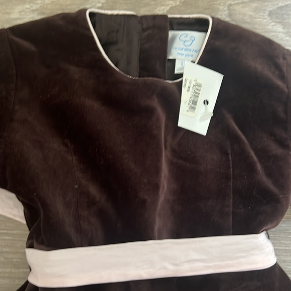 NWT CZ Carolina Zapf Little Girls Velvet Dress Size 3T - Picture 2 of 3